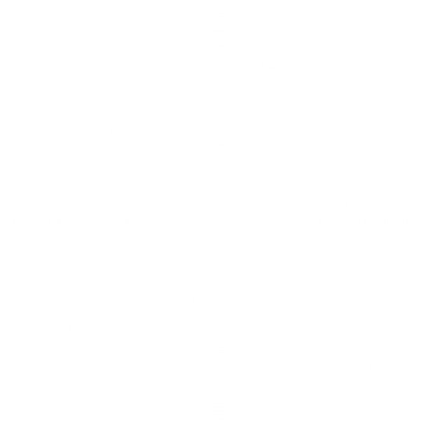 White sparkles and lens flare light